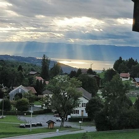 Balcony Of Lake Geneva Thollon-les-Memises Екстер'єр фото